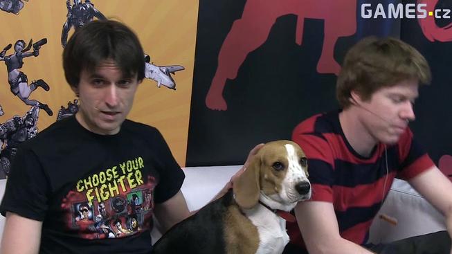 Fight club #123 HD: PES na pracovišti!