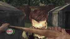 The Walking Dead: Survival Instinct