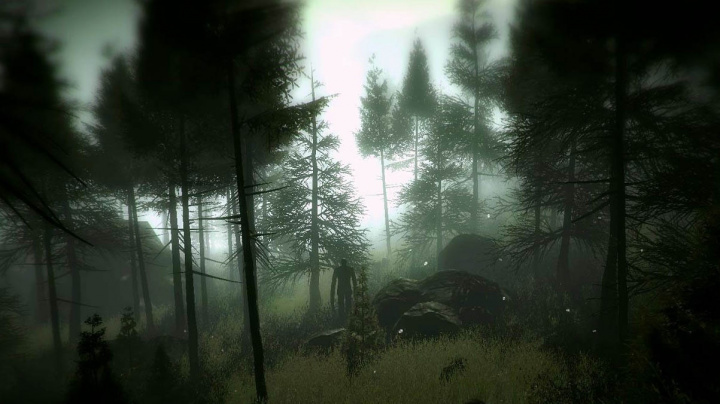 Slender: The Arrival - recenze