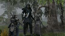 The Elder Scrolls Online