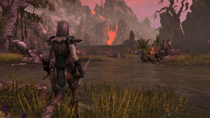 Analýza léčitele a další informace z fanstránky The Elder Scrolls Online