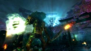 Shadow Warrior