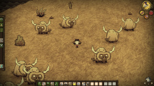 Don't Starve
