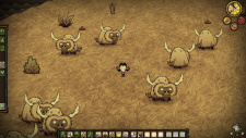 Don't Starve