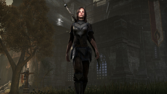 Spuštění bety a další informace z fanstránky The Elder Scrolls Online