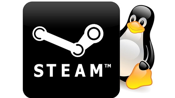 Linux a otevřené platformy jsou dle Newella budoucností hraní