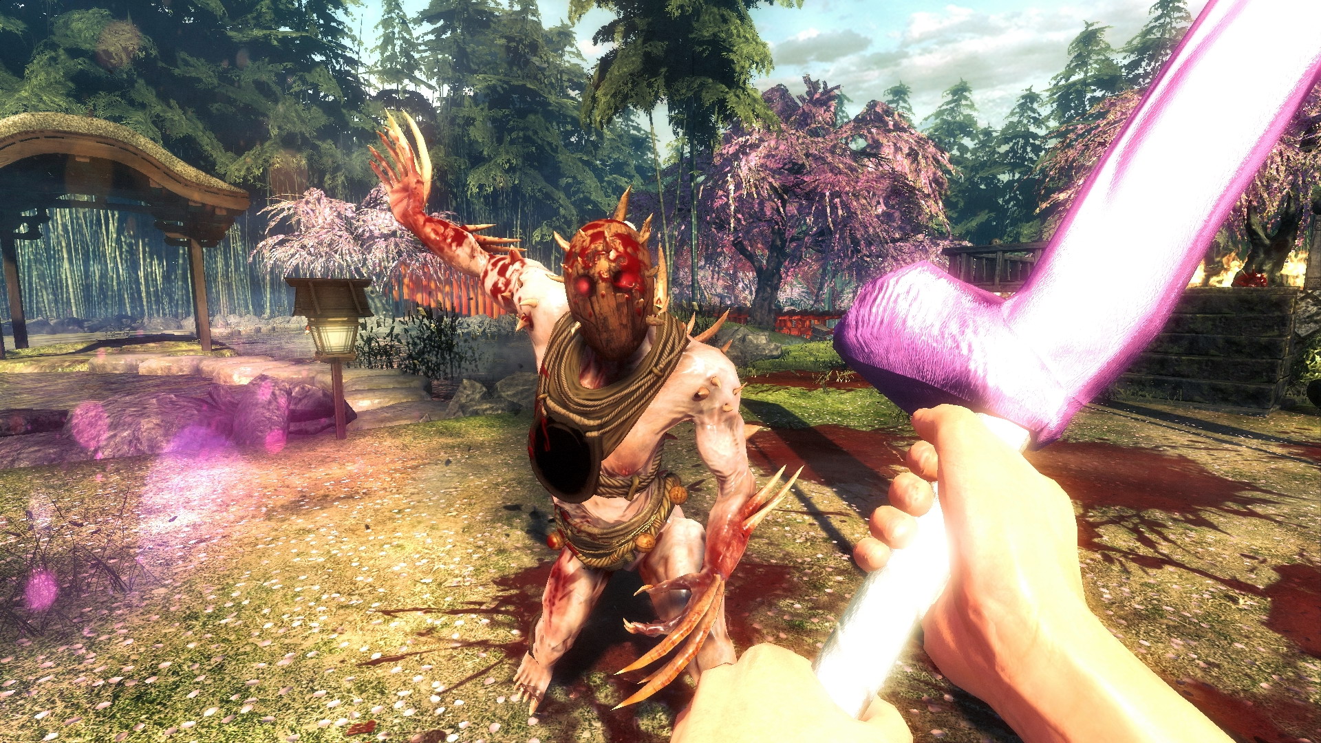 Shadow Warrior