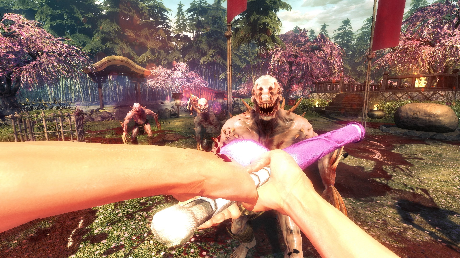 Shadow Warrior