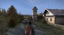 DayZ (standalone)