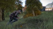 DayZ (standalone)