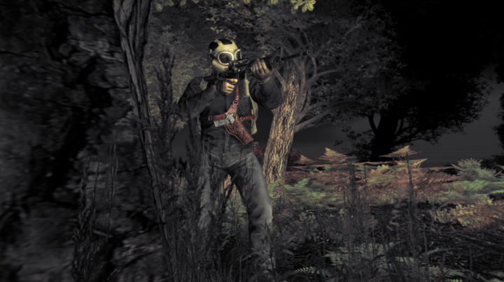 Samostatné DayZ vstoupilo s alfa verzí na Steam