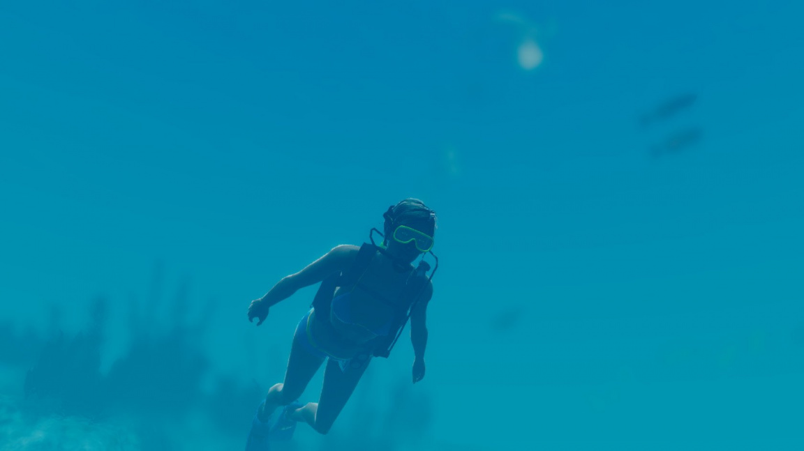 World of Diving