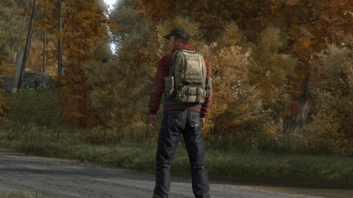 DayZ se blíží 900 tisícům a předkládá plány do budoucna