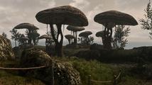 skywind