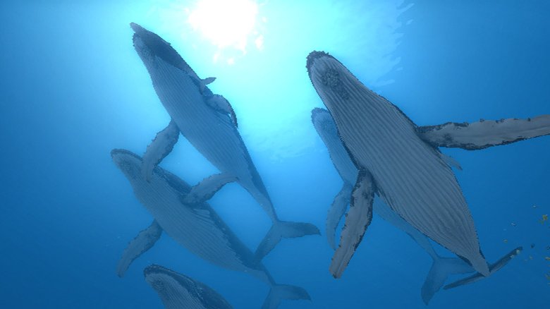 Endless Ocean 2: Adventures of the Deep