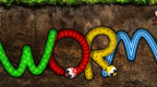 Wormi