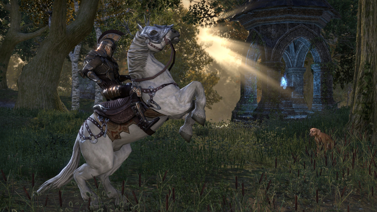 Týden života v The Elder Scrolls Online - dojmy z hraní PvE