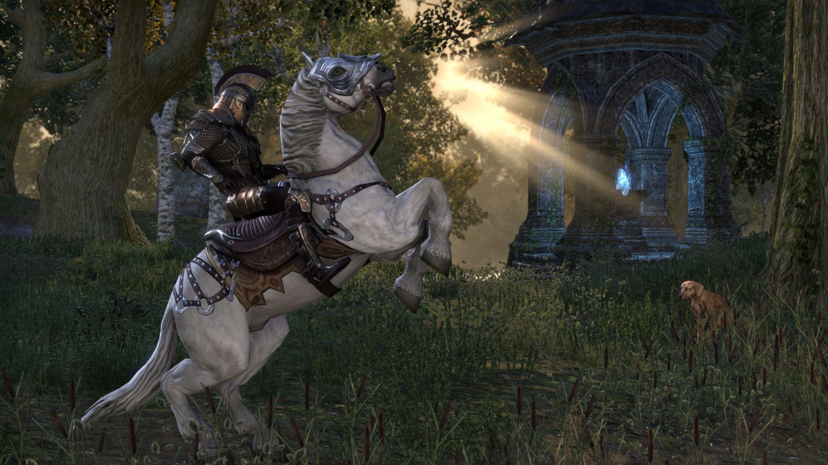 Betu Elder Scrolls Online hrálo přes 5 milionů lidí