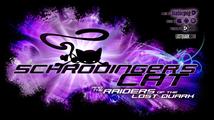Schrödinger's Cat and the Raiders of the Lost Quark