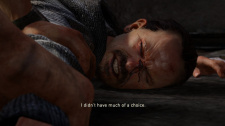 The Last of Us Remastered