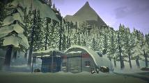 The Long Dark