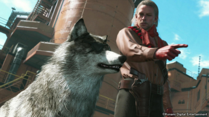 Dalším parťákem Snakea v Metal Gear Solid V je vlčák DD s páskou přes oko