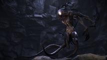 Evolve