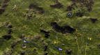 Ashes of the Singularity