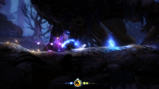 Ori and the Blind Forest
