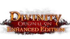 Divinity: Original Sin