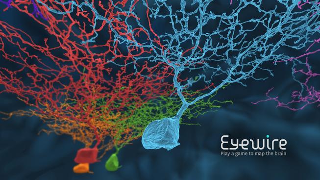 EyeWire-J-Cell-Teaser-lower-res