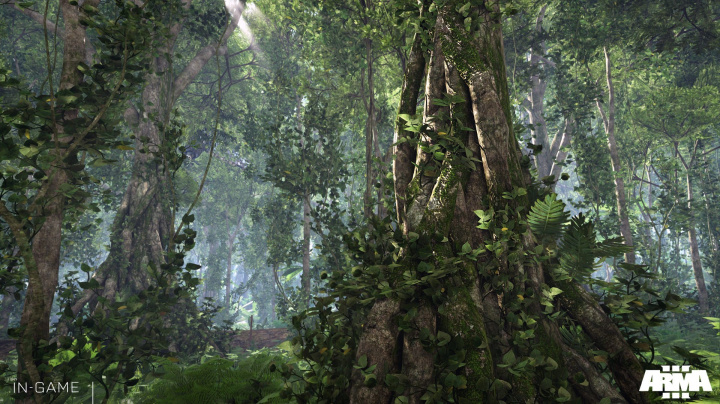 Vývojářský deník Arma 3 vysvětluje, že tropický ostrov Tanoa má předobraz ve Fidži