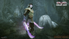 The Incredible Adventures of Van Helsing: Final Cut