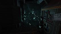 SOMA