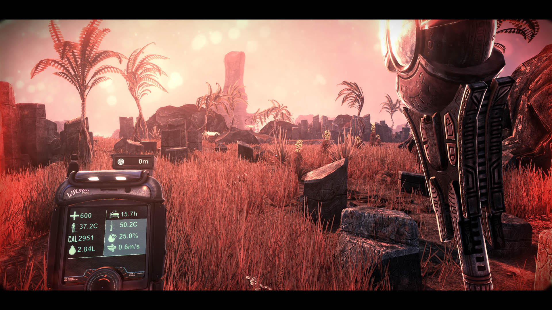 Solus
