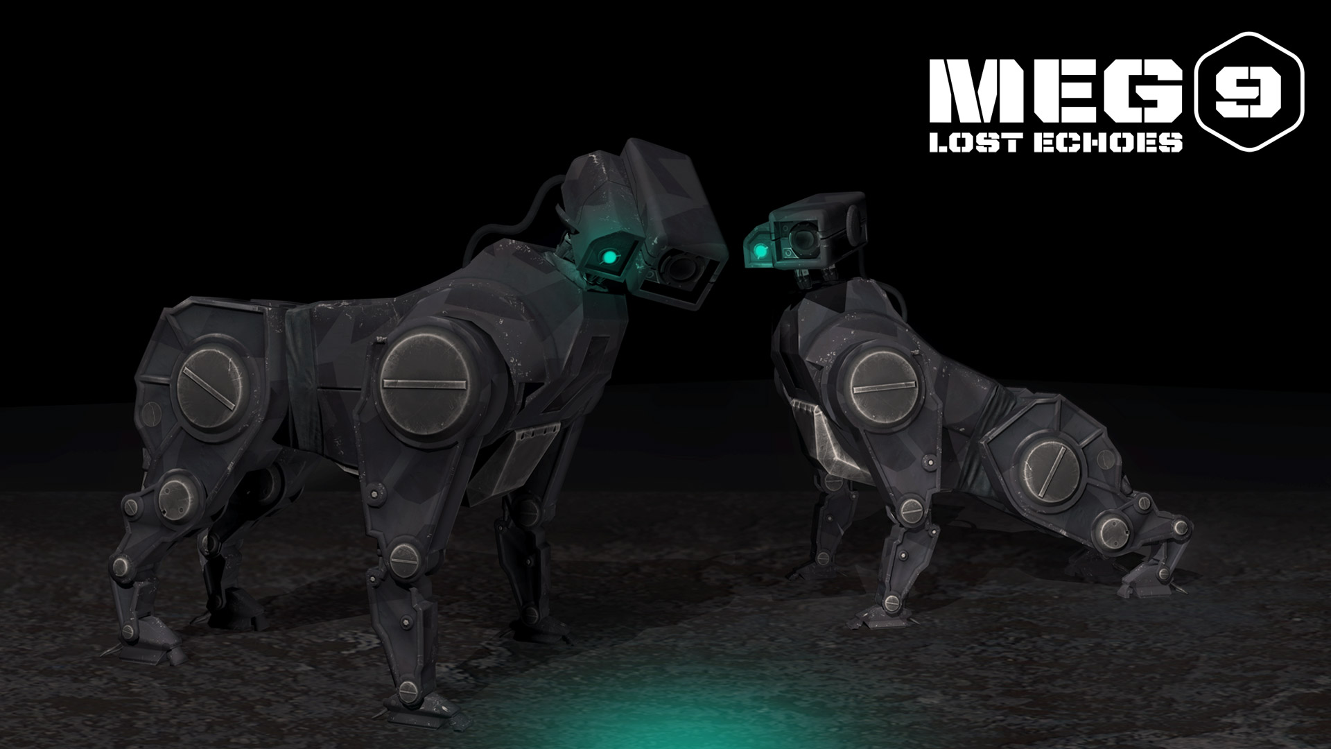 MEG 9: Lost Echoes