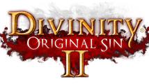 Divinity: Original Sin II