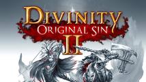 Divinity: Original Sin II