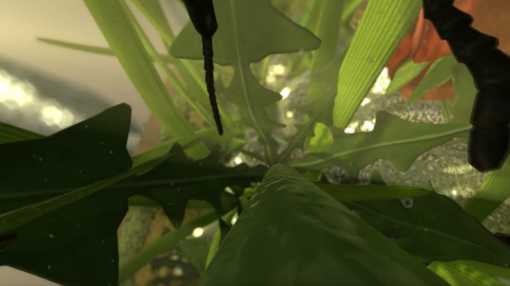 Ant Simulator oživí pravěkou mravenčí hru Willa Wrighta, jenom ve 3D