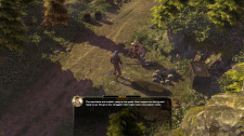 Sword Coast Legends