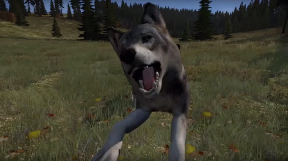 Život hráče v DayZ brzy ohrozí i predátoři z divokých lesů Černarusi