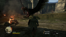 Dragon's Dogma: Dark Arisen