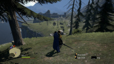 Dragon's Dogma: Dark Arisen