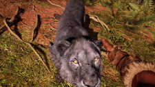 Far Cry Primal