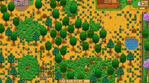 Stardew Valley