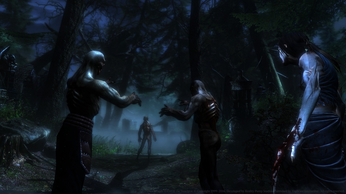 Datadisk Call of the Tenebrae k RPG Two Worlds II si můžete koupit samostatně