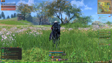 Blade &amp; Soul