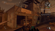 Dying Light: The Following