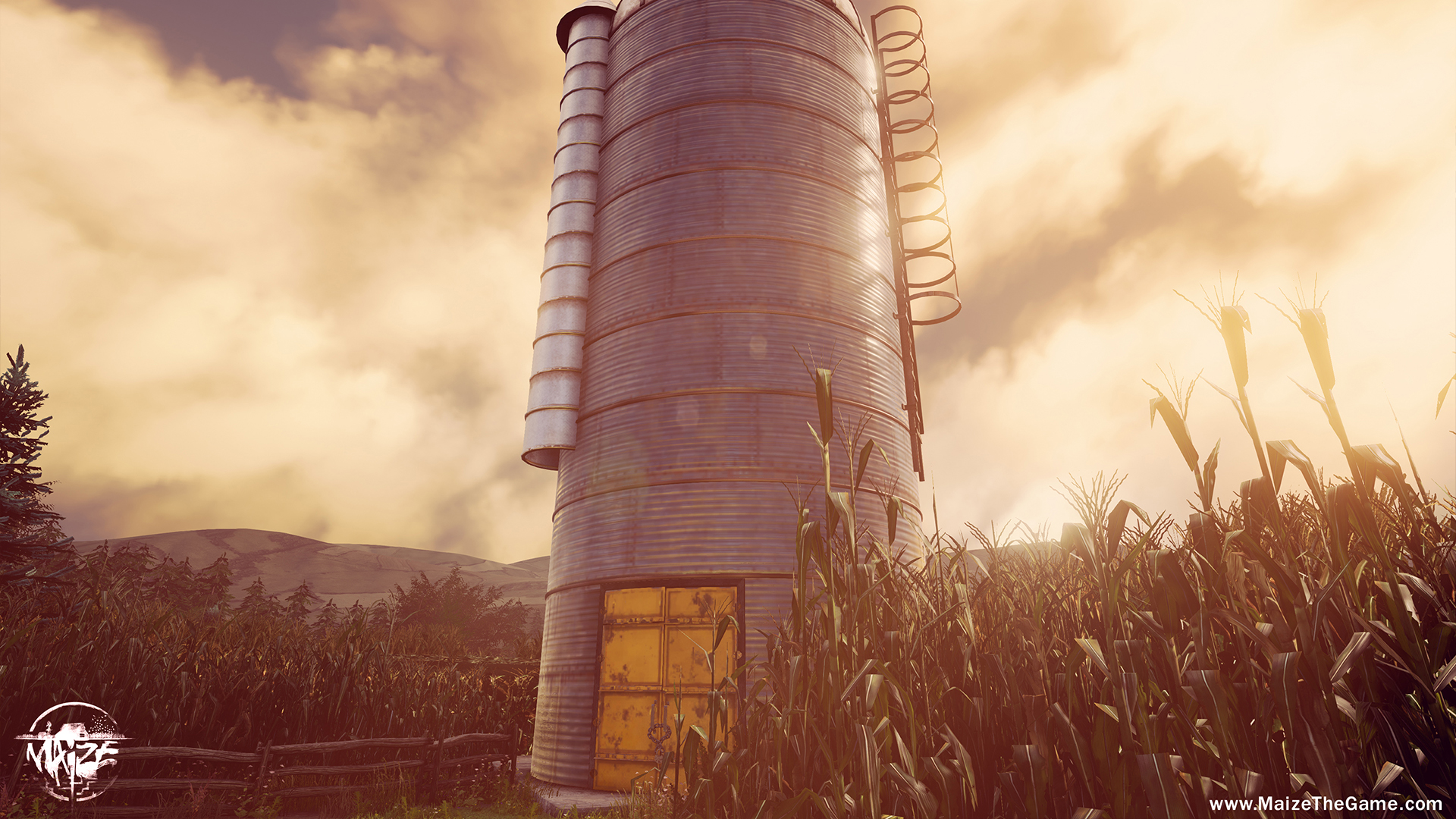 Maize