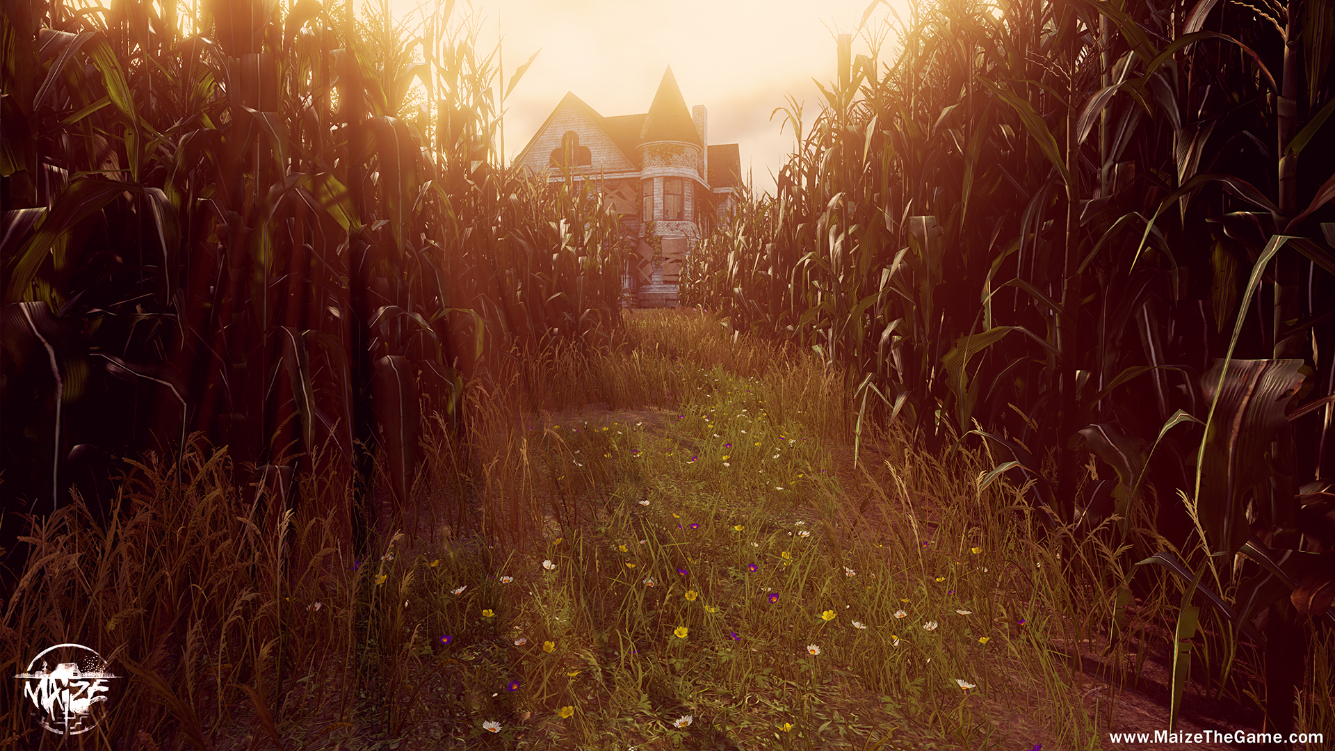 Maize